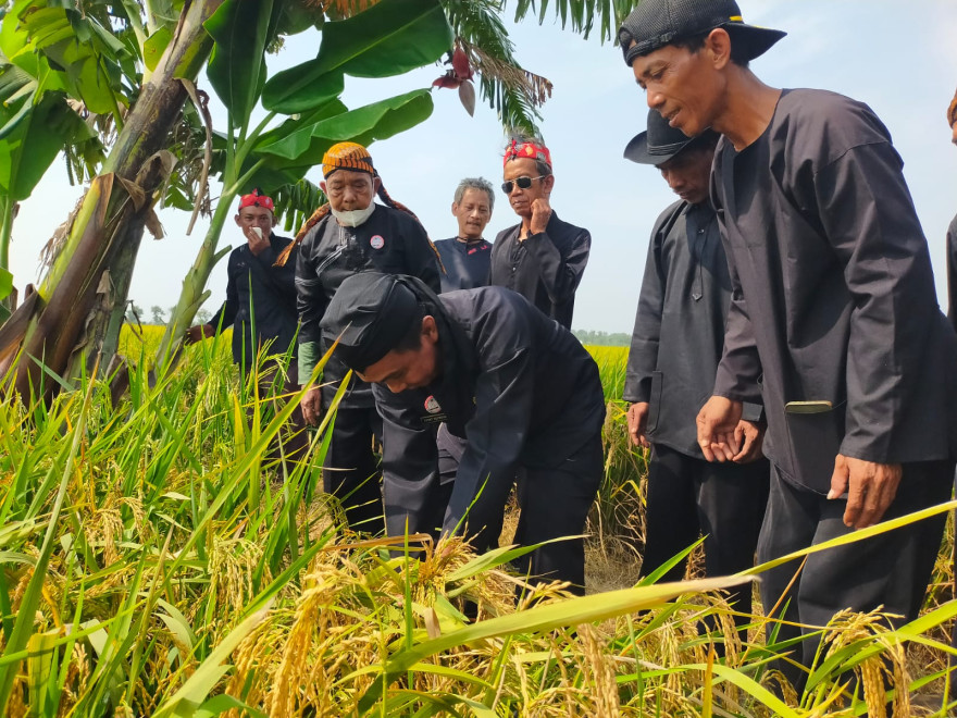 MAPAG SRI DESA CANGKINGAN